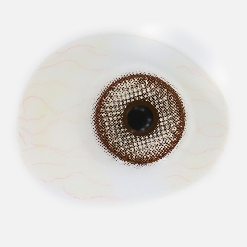 Uniieye Opera brown Colored Contact Lenses | 1 Year